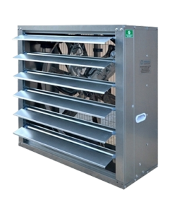 964fe2b0-b7e3-4638-84e9-1c88d7ed2e21_removalai_preview